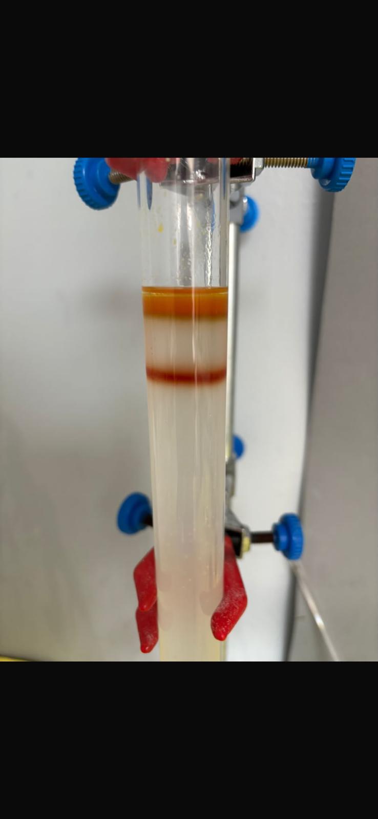 ASYA LAB laboratory work, photo 9